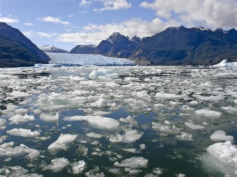 ‘Worst case scenario’: Polar ice caps and Greenland ice sheet melting six times faster than in ...