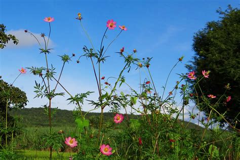 Seasons in India: Weather and Climate