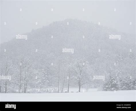 Snow storm against trees and mountains, Pennsylvania, USA Stock Photo ...