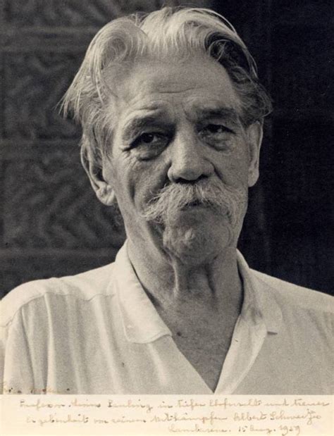 Dr Albert Schweitzer Quotes. QuotesGram