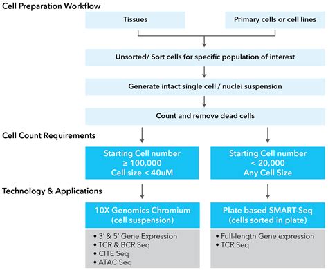 Single Cell Gene Expression Analysis - MEDGENOME