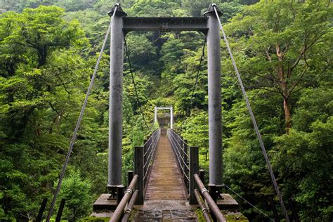 Forest Bridge Wallpapers - Top Free Forest Bridge Backgrounds - WallpaperAccess