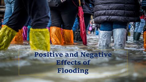 Effects of flooding: Positive, Negative, Examples - Yo Nature