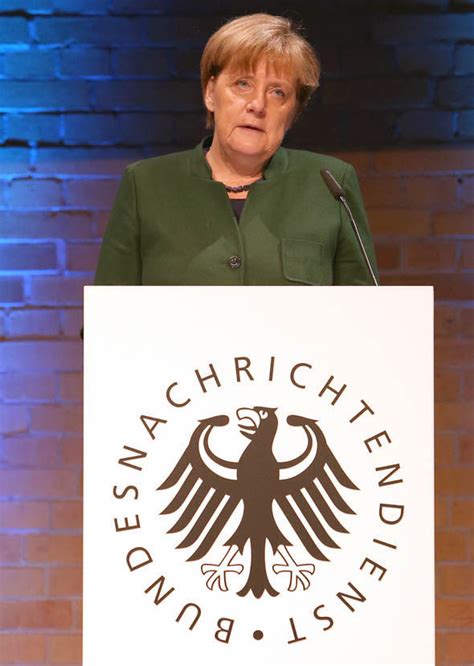 Angela Merkel responsible for rise of Euroscepticism in EU says expert | World | News | Express ...