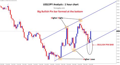 How to trade Forex for Beginners | Forex GDP