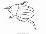 Green Beetle Bug Coloring Page For Kids  Free Beetles Printable sketch template
