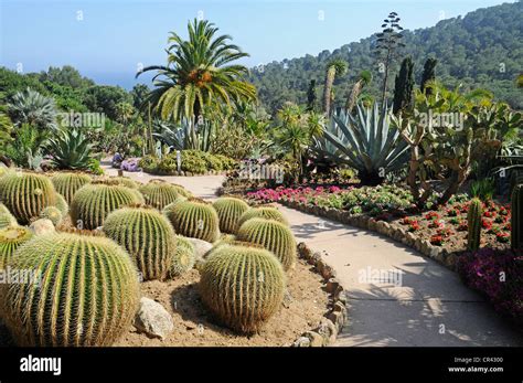 Botanical garden Jardi Botanic Mar i Murtra, Marimurtra, Blanes, Costa ...