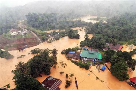 Logging caused unusual flooding, say NGOs | News | Eco-Business | Asia ...