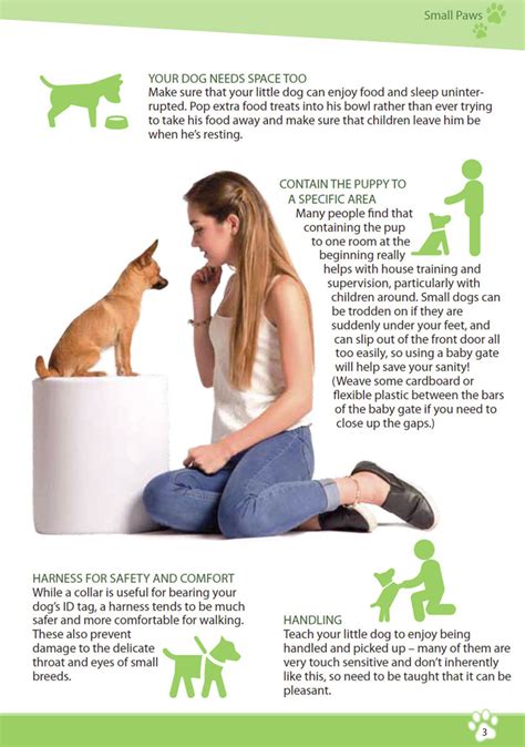 Ebook: Small Paws - Essential Behavior and Training Tips for Young Puppies and Small Dogs ...