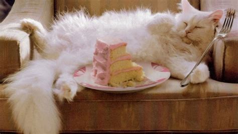 The unitary patent: a reason to allow double patenting? - The IPKat