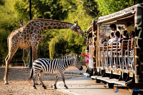 Chiang Mai Night Safari Chiang Mai: Travel Information 2024