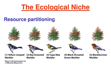 PPT - Ecosystems and Living Organisms PowerPoint Presentation, free download - ID:5482937