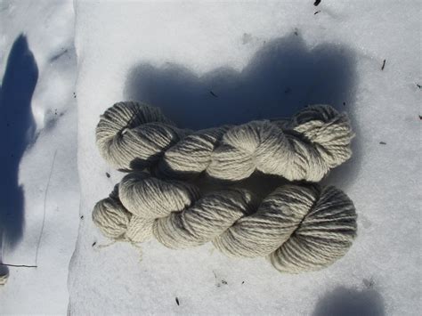 Jacob Sheep Wool Yarn 200yds Natural White SE2SE - Etsy