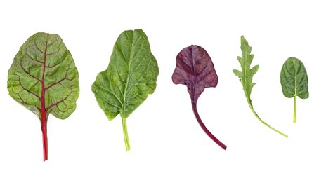 What is Mesclun and What To Do With It?