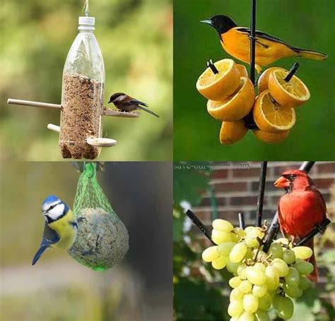 Homemade Bird seed and fruit feeder - Baltimore Orioles love oranges and Cardinals love grapes # ...