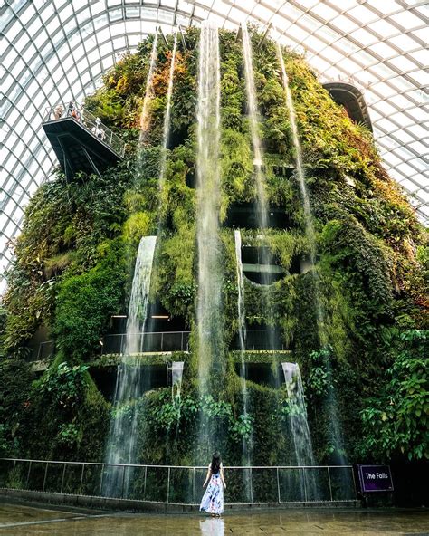 Gardens by the bay supertree grove cloud forest dome – Artofit