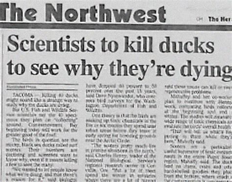 40 Weird Newspaper Headlines - Barnorama