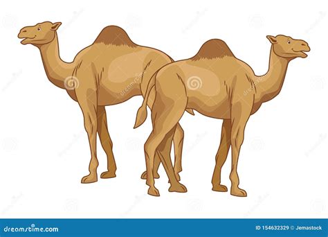 Two Camels Desert Animals Cartoons Stock Vector - Illustration of emirates, dubai: 154632329