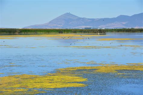 Tule Lake National Wildlife Refuge