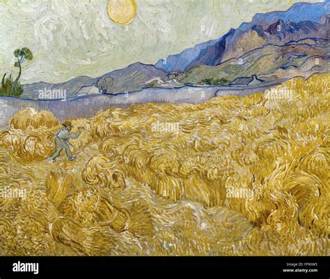 VAN GOGH: WHEATFIELD, 1889. /nVincent Van Gogh: Wheatfield with Reaper ...