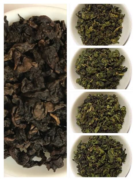 Oolong Tea Sample 2 – New Century Tea Gallery