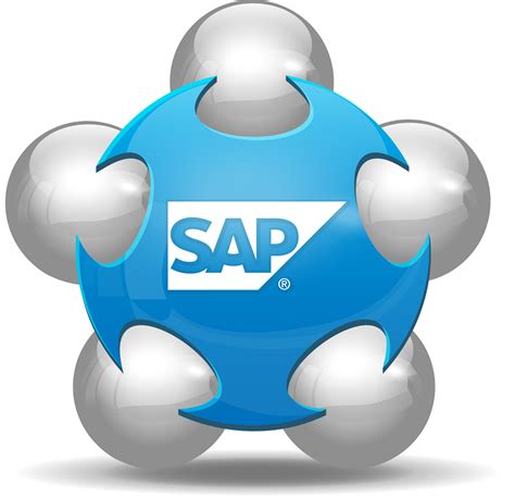 How To Use Sap Software