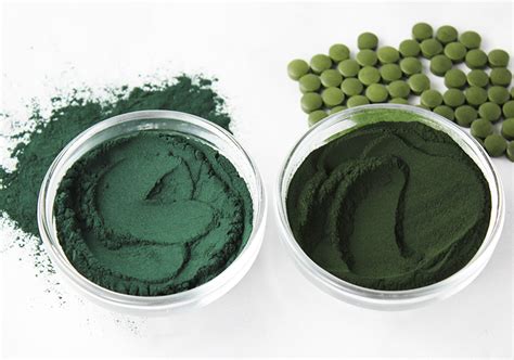 Benefits of Spirulina and Chlorella, Which One Should You Take?