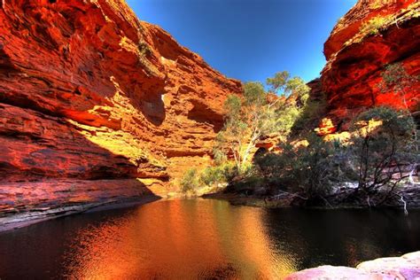 Kings Canyon - Australia | Kings canyon, Natural wonders, Travel destinations australia