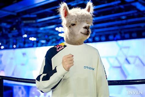 DRX Deft makes important announcement on April 1st: "I'm an alpaca." - Inven Global