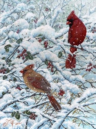 Winter Cardinal Painting Fine Art Print by Jeff Tift at FulcrumGallery.com