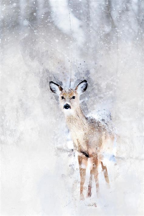 Baby Deer in The Snow Watercolor Painting by Mata - Pixels