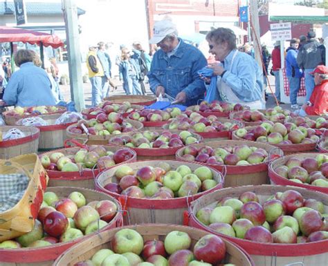 √無料でダウンロード！ apple blossom festival 2021 wenatchee wa 337557-Apple ...