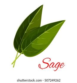 Sage Logo Vectors Free Download