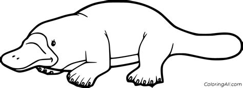 20 free printable Platypus coloring pages in vector format, easy to print from any device and ...