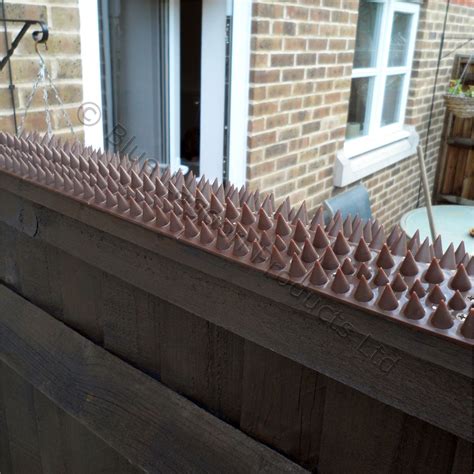 5 Metre Brown Wall Fence Spikes Anti Climb Security Cat Bird Repellent ...