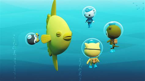 Octonauts and the Sunfish ‹ Series 4 ‹ Octonauts