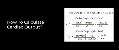 How To Calculate Cardiac Output?