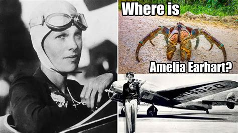 Amelia Earhart Eaten By Coconut Crabs | Know Your Meme