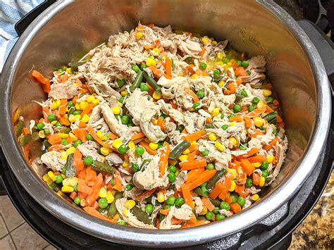 Instant Pot Dog Food - Flavorful Home