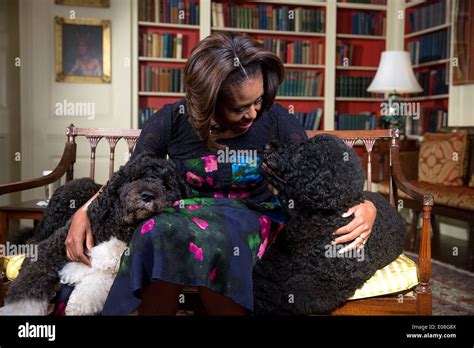 US First Lady Michelle Obama with Obama family pets Bo, left, and Stock Photo: 69029882 - Alamy