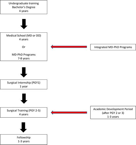 Academic surgery at home and abroad: A guide for students and residents - The American Journal ...