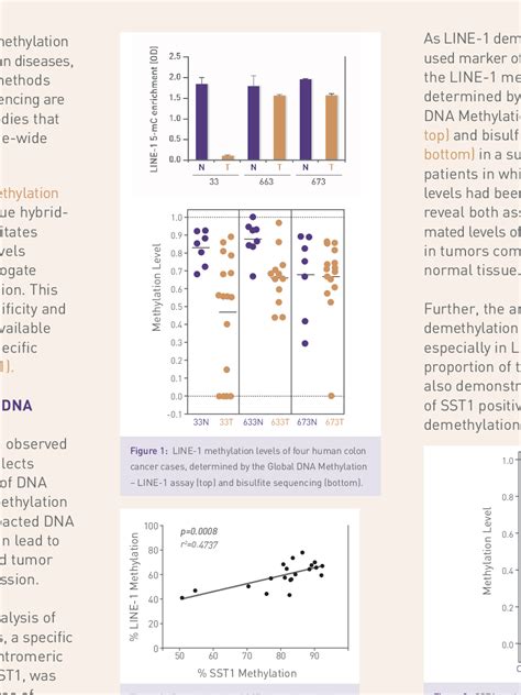 Figure 3 from CRISPR / Cas9 Gene Editing with Active Motif’s Cas9 ...