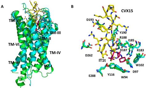 Small Molecule Inhibitors of CXCR4