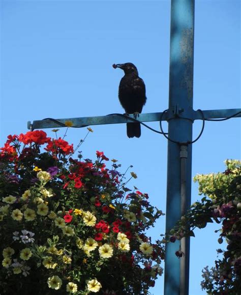 Sunny Walk Along New Westminster Waterfront | Paul Cipywnyk's Blog