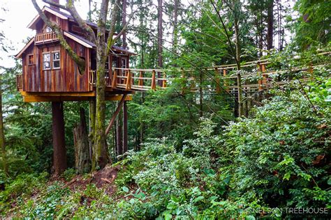 How we build bouncy suspension bridges to treehouses - Nelson Treehouse