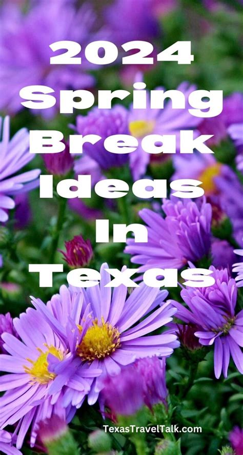 Spring Break Ideas In Texas For Families (Updated 2024) | Texas Travel Talk