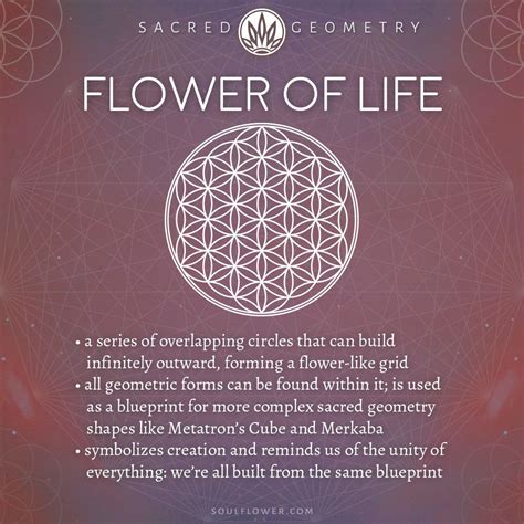 the flower of life sacred geometry - Annmarie Sperry