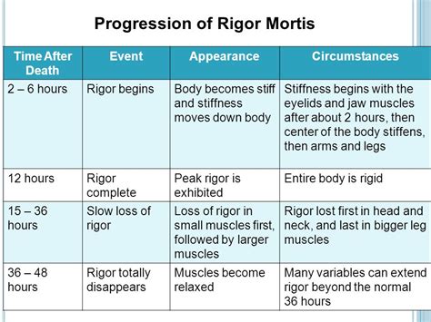 Rigor Mortis Stages