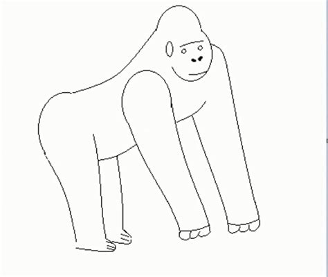 Silverback Gorilla Drawing