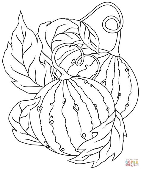 Watermelon coloring page | Free Printable Coloring Pages